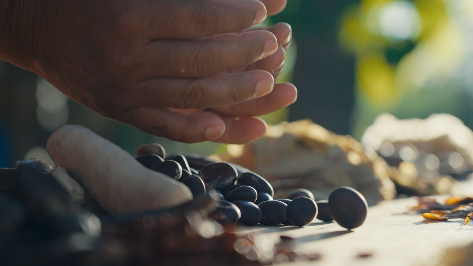 ​Prime Box Brazil estreia “Agenda ESG”, minissérie que conecta sustentabilidade, sociedade e governança a um futuro possível