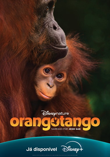 O DISNEY+ CELEBROU O DIA DA TERRA COM A ESTREIA DE ORANGOTANGO, O NOVO FILME DA DISNEYNATURE